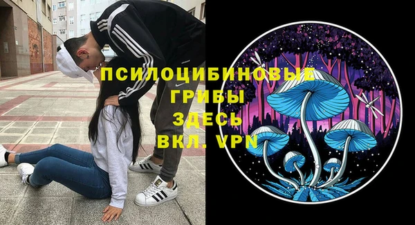 соль ск Карталы