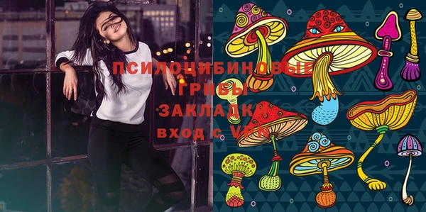 винт Карпинск