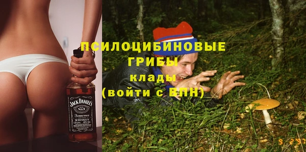 соль ск Карталы