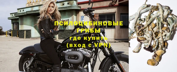 мдпв Касимов