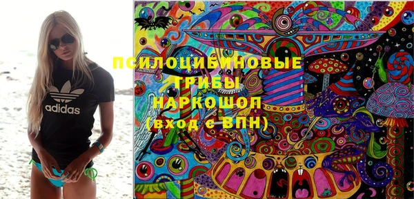 винт Карпинск