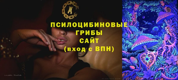 мдпв Касимов