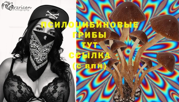 винт Карпинск