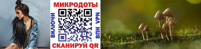 Галлюциногенные грибы прущие грибы Купить закладки Медногорск